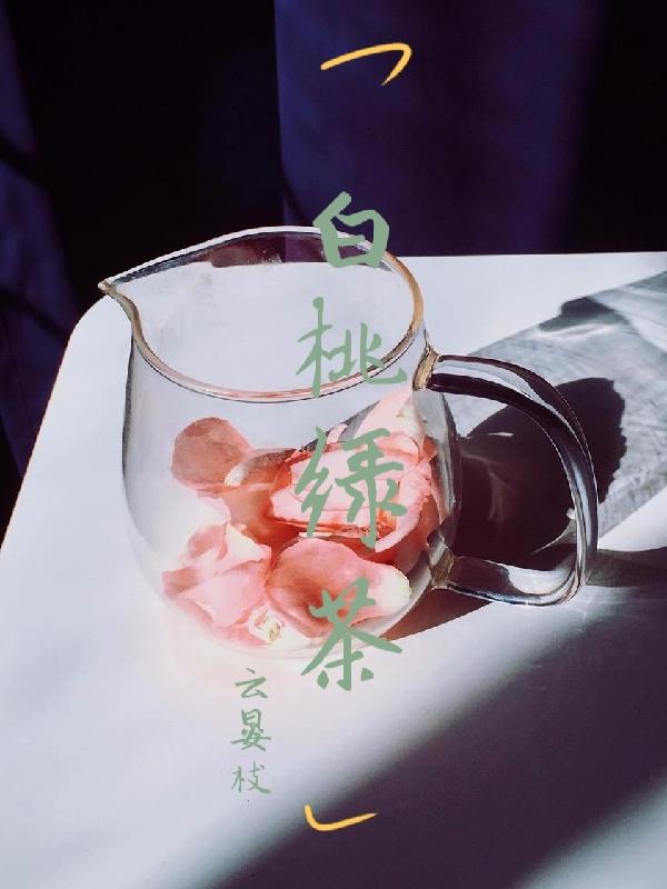 白桃绿茶徐玮言宋南辞小说免费阅读