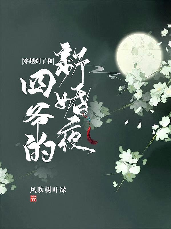 完整版《穿越到了和四爷的新婚夜》txt下载