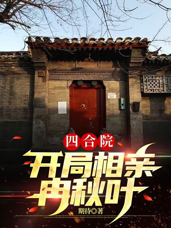 王延洲小说《四合院：开局相亲冉秋叶》在线阅读