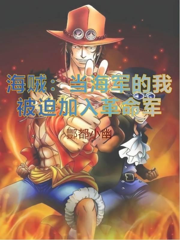 求海贼：当海军的我被迫加入革命军小说免费资源