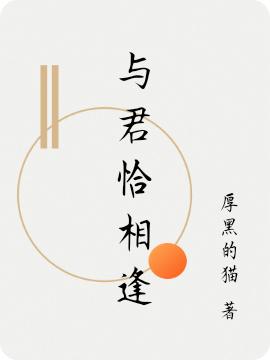 与君恰相逢最新章节，与君恰相逢免费阅读