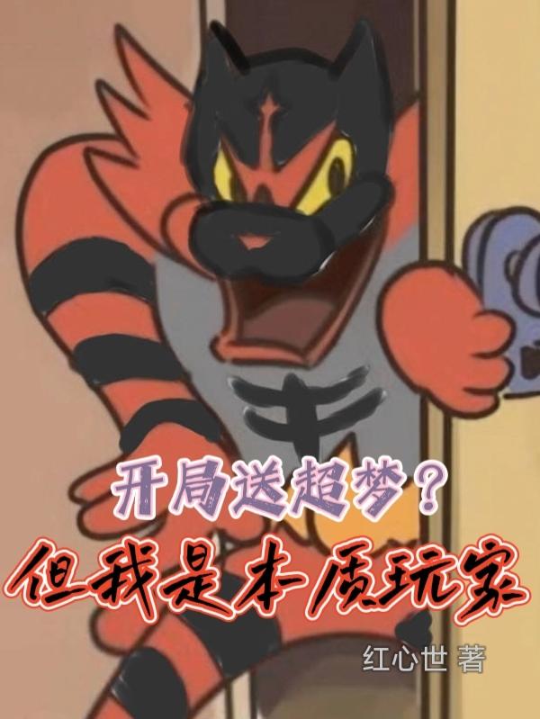 求白夕小说免费资源