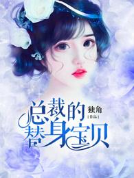 总裁的替身宝贝小说，总裁的替身宝贝晓玲孔垂楠