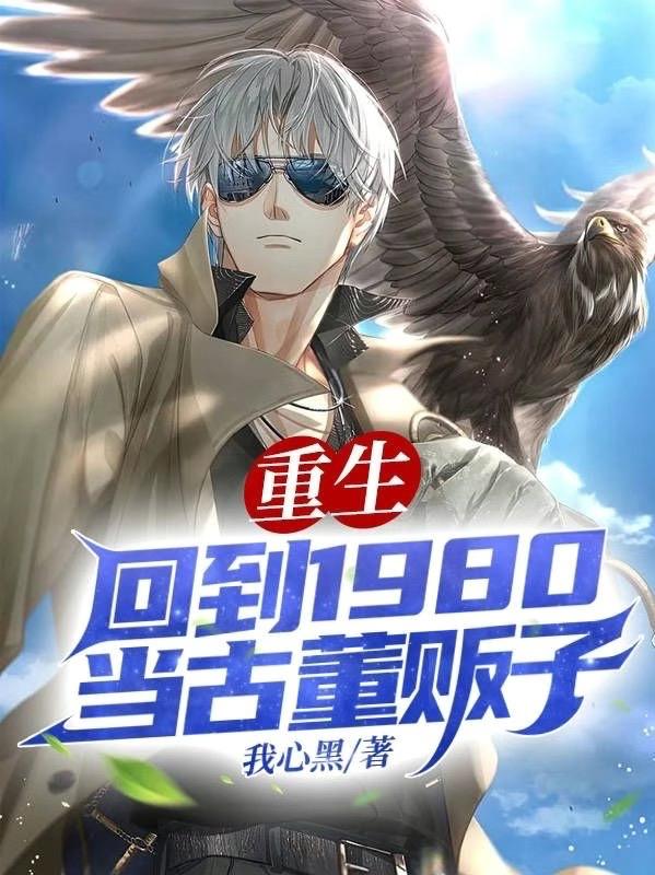 小说《重生：回到1980当古董贩子》在线全文阅读