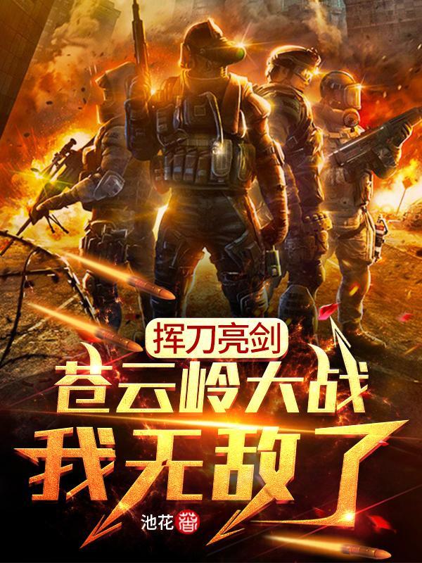 完整版《挥刀亮剑：苍云岭大战，我无敌了》txt下载