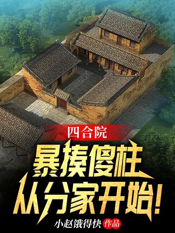 四合院：暴揍傻柱，从分家开始！（何阳）在线免费阅读-牛皮文学