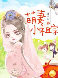 主人公席舒紫鸢席小姐小说萌妻小祖宗在线全文阅读