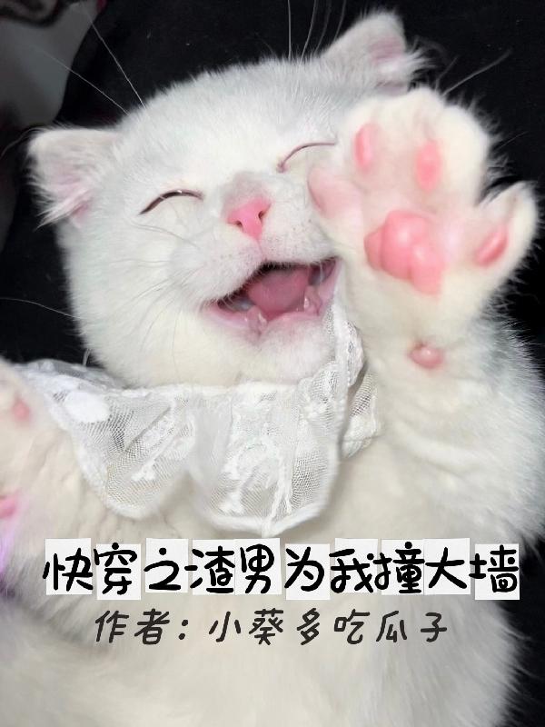 求快穿之渣男为我撞大墙小说免费资源
