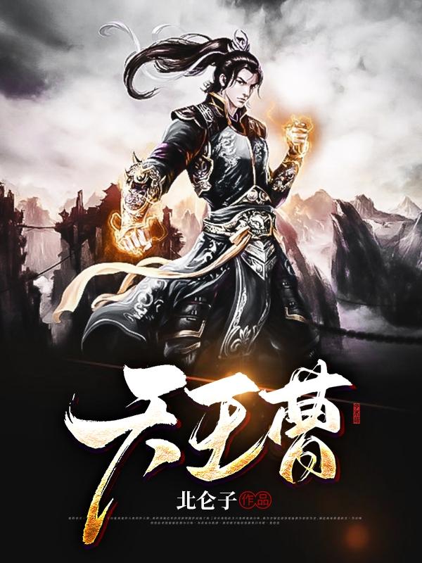 小说《天王曹》全文免费阅读-有文学