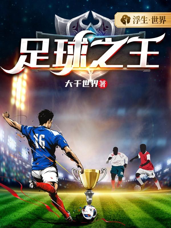 已完结小说《足球之王》全章节在线阅读-瑞奇文学