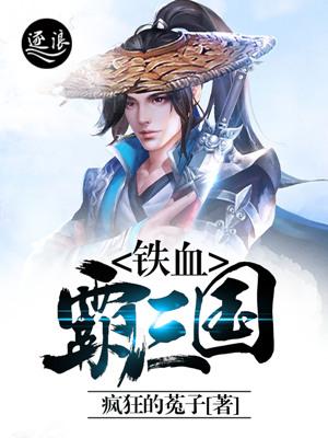 刘威刘宏小说叫什么（铁血霸三国免费阅读）