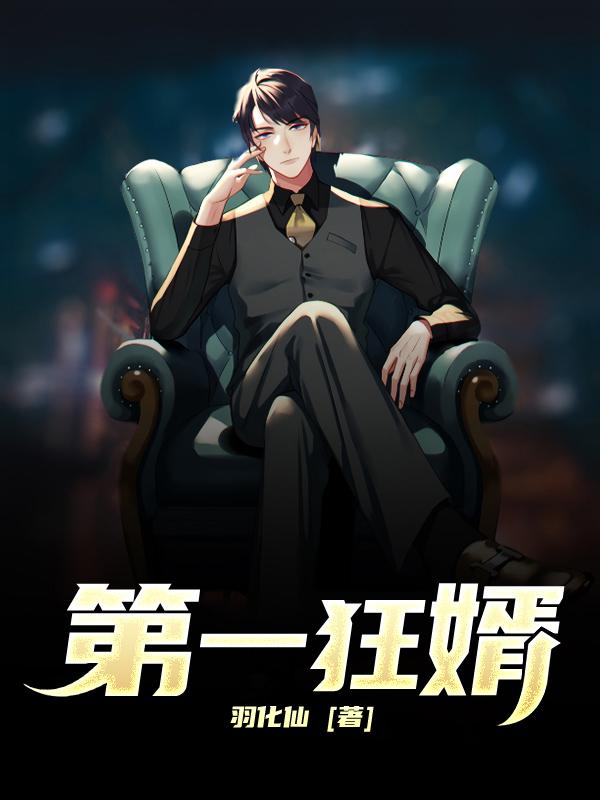 已完结小说《第一狂婿》全章节在线阅读
