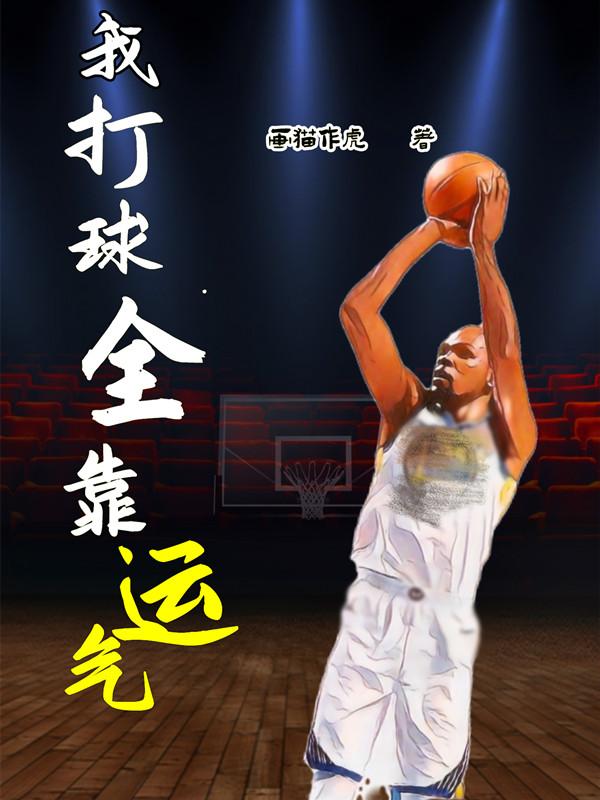 小说《我打球全靠运气》在线全文阅读