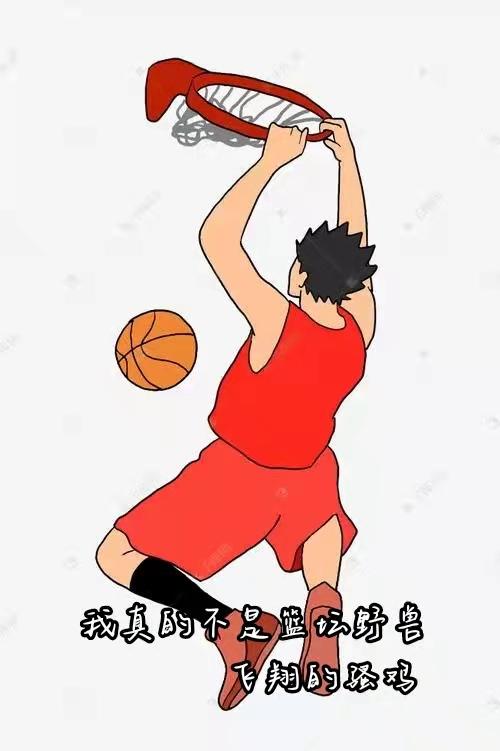 完整版《我真的不是篮坛野兽》txt下载-侠客文学