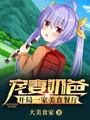 求宠妻奶爸：开局一家美食餐厅小说免费资源