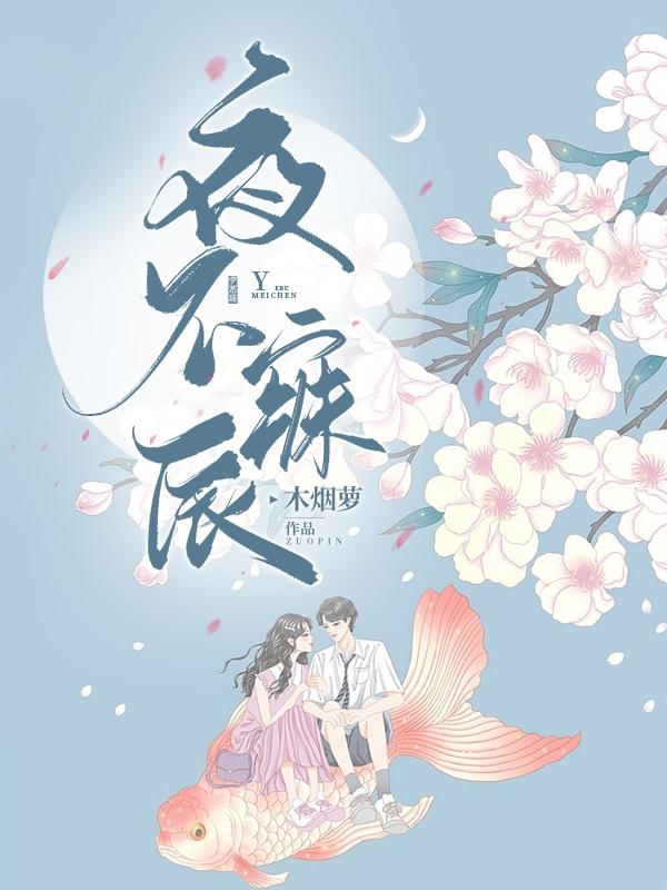 沈夜辰曦小说《夜不寐辰》在线阅读