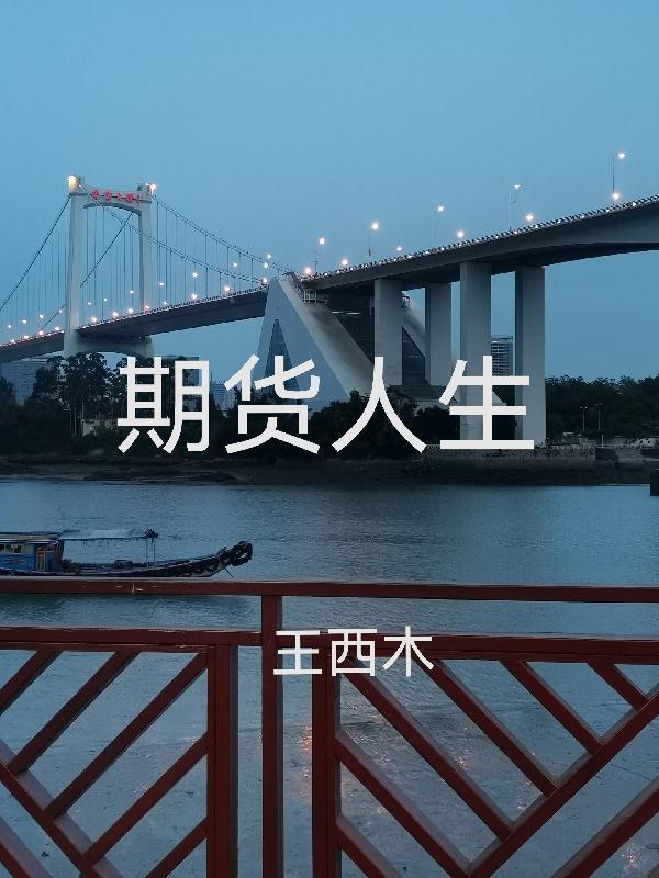 诸葛成相小说在哪里可以看