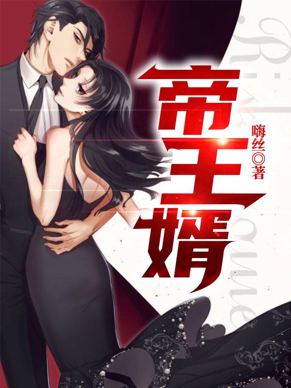 帝王婿嗨丝，帝王婿小说免费阅读
