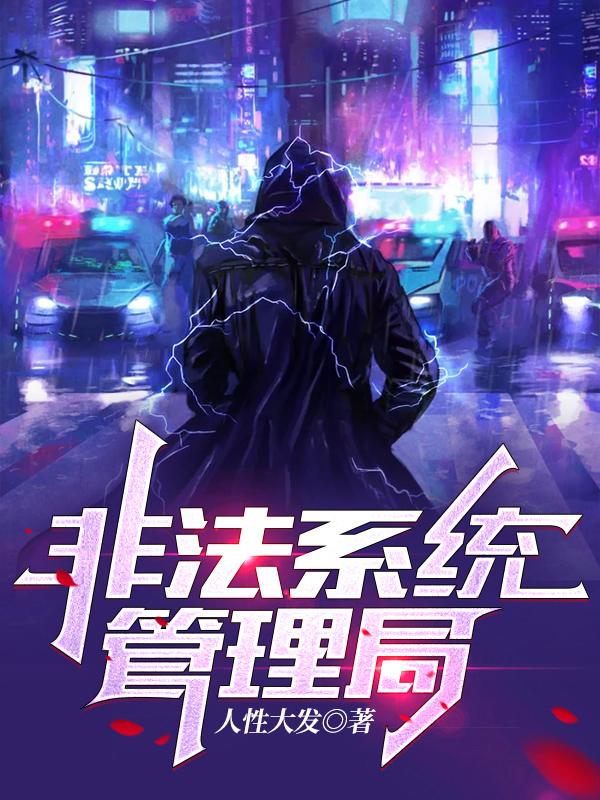 小说《非法系统管理局》全文免费阅读