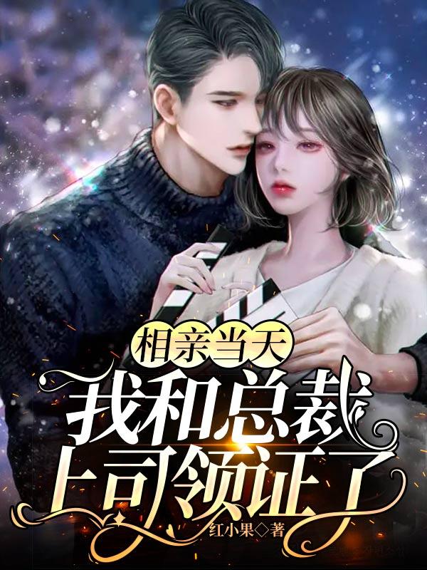 小说《相亲当天，我和总裁上司领证了》全文免费阅读