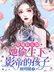 惊爆娱乐圈！她偷生下影帝的孩子（南佳人盛承曜）在线免费阅读