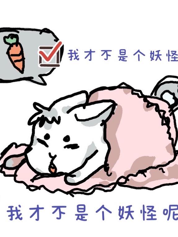 求南黎傅锦年小说免费资源