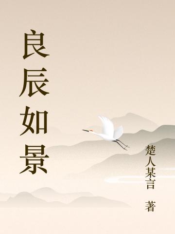 求良辰如景小说免费资源