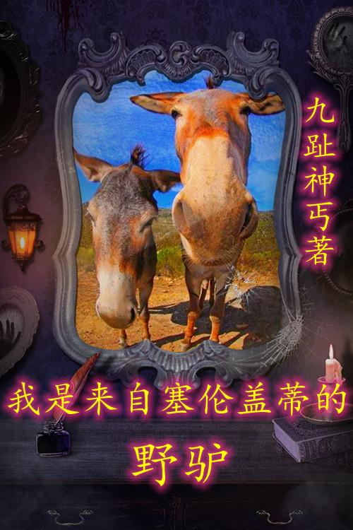 我是来自塞伦盖蒂的野驴最新章节，我是来自塞伦盖蒂的野驴免费阅读