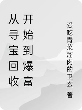 完整版《从寻宝回收开始到爆富》txt下载