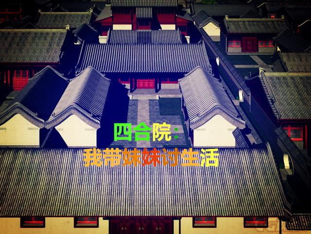 四合院我带妹妹讨生活张震小说免费阅读