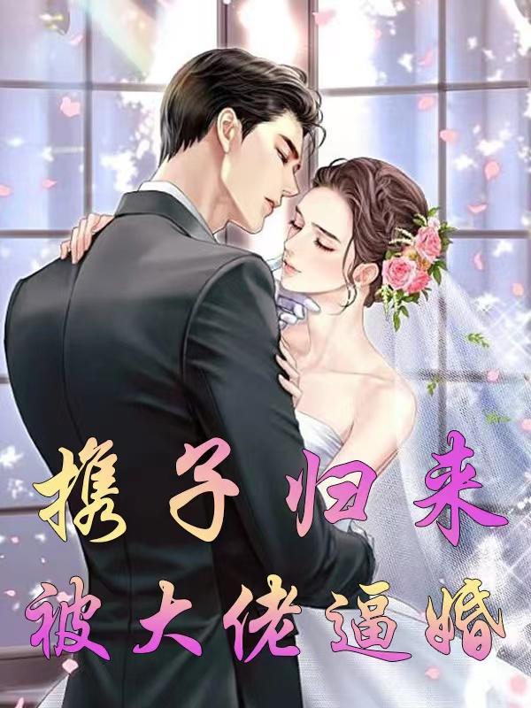 主人公大白小白小说携子归来，被大佬逼婚在线全文阅读