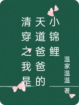 求清穿之我是天道爸爸的小锦鲤小说免费资源