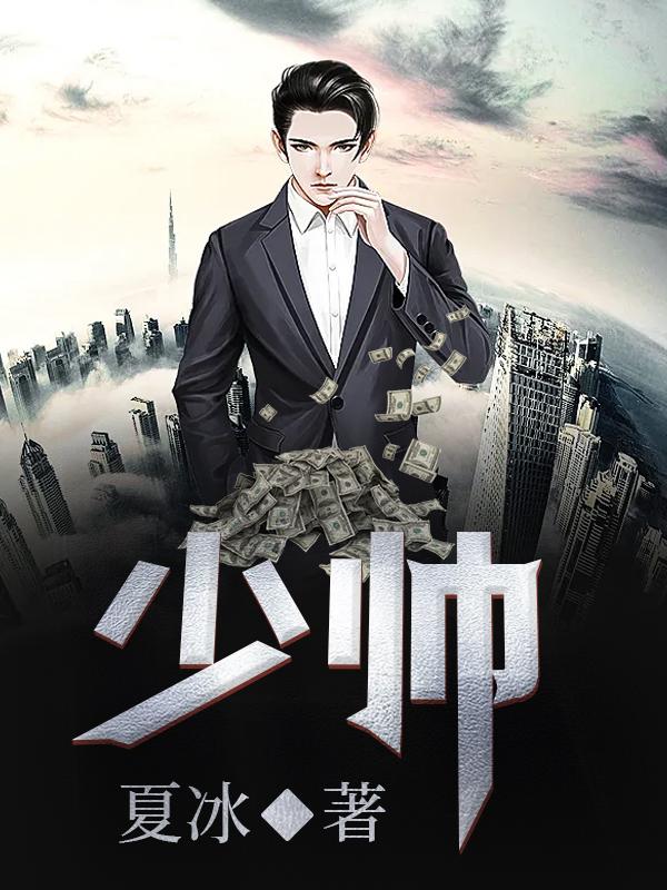 小说《少帅》在线全文阅读