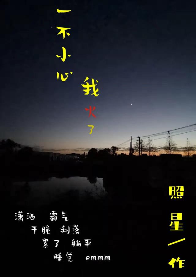 一不小心我火了（尤闲）在线免费阅读