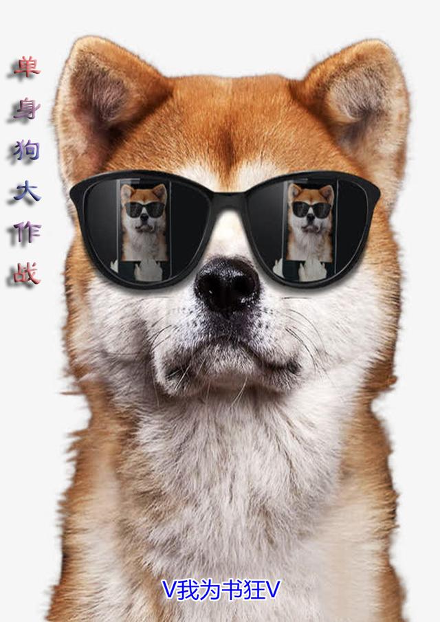 小说《单身狗大作战》全文免费阅读