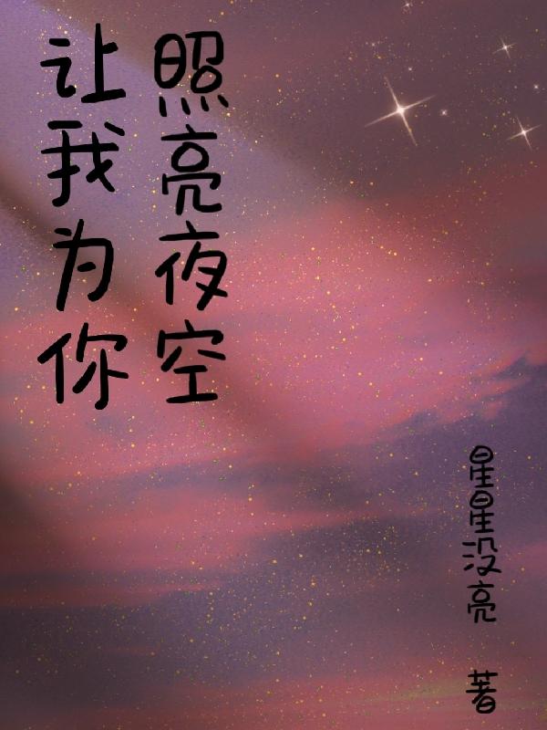 小说《让我为你照亮夜空》在线全文阅读