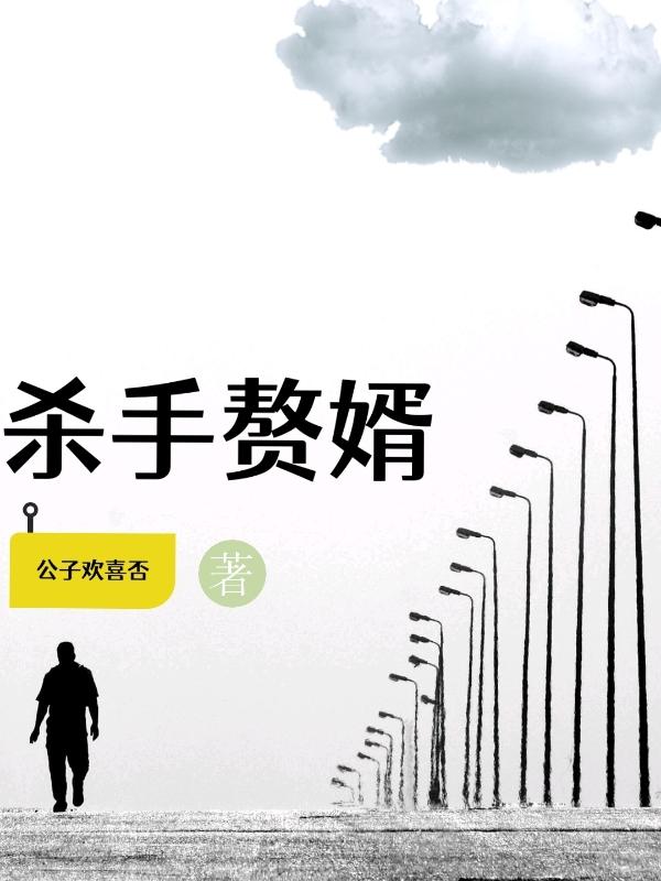 南宫夜王轻灵小说《杀手赘婿》在线阅读