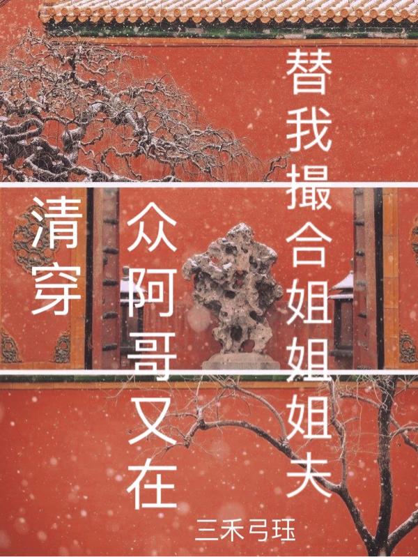 完整版《清穿众阿哥又在替我撮合姐姐姐夫》txt下载