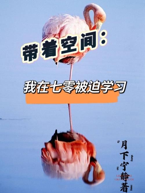 小说《带着空间：我在七零被迫学习》全文免费阅读