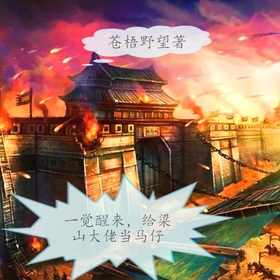 求一觉醒来，给梁山大佬当马仔小说免费资源