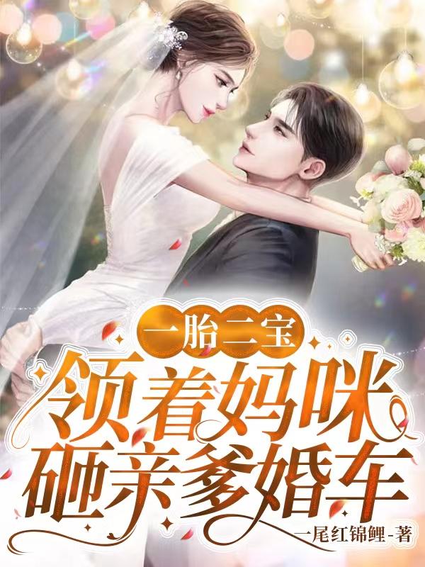主人公夏若璃慕辰烨小说一胎二宝：领着妈咪砸亲爹婚车在线全文阅读