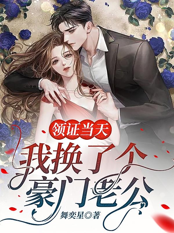 领证当天，我换了个豪门老公苏北辰林初夏赵芳张晓莉小说大结局免费试读-经典文学