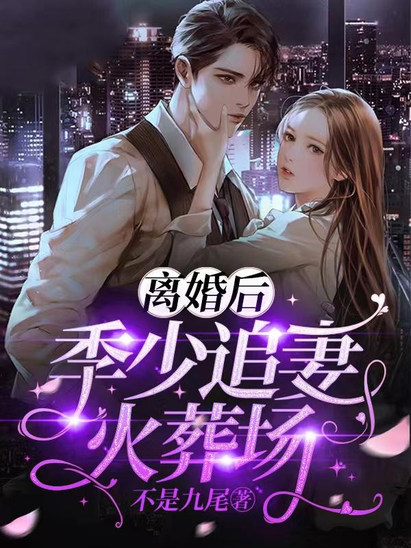 离婚后，季少追妻火葬场夏子星宋梦暖季丞霖孟妍小说在线全文免费阅读