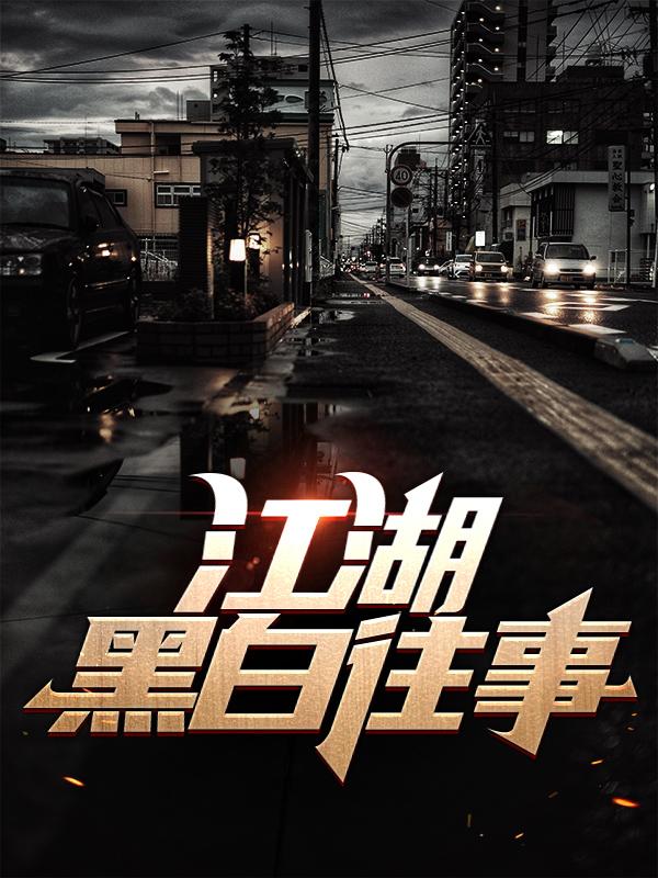 《江湖黑白往事》全集免费在线阅读（陈亚楠安童）