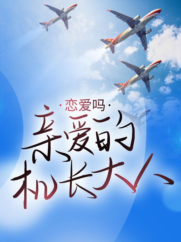 小说《恋爱吗，亲爱的机长大人》在线全文阅读-瑞奇文学
