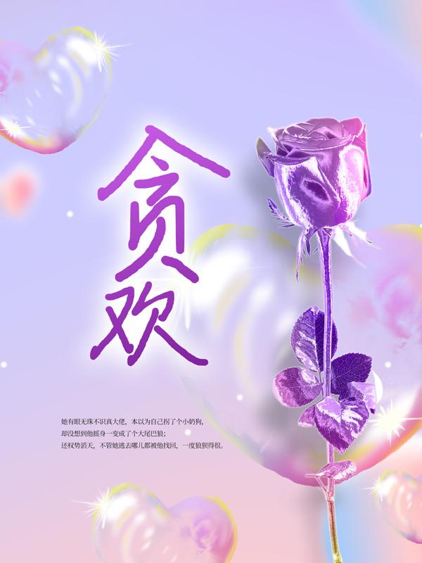 贪欢小说阅读，贪欢完整版