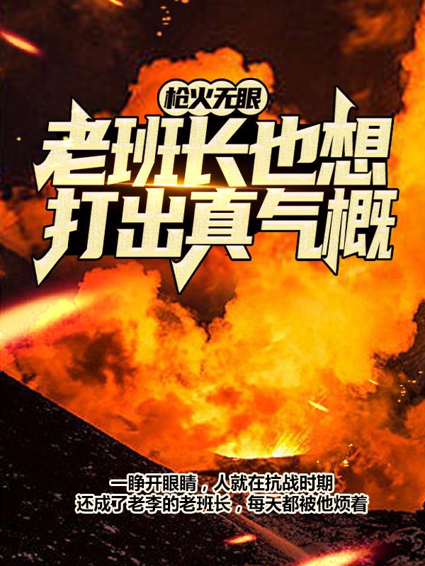 枪火无眼，老班长也想打出真气概！李云龙李二虎小说免费阅读