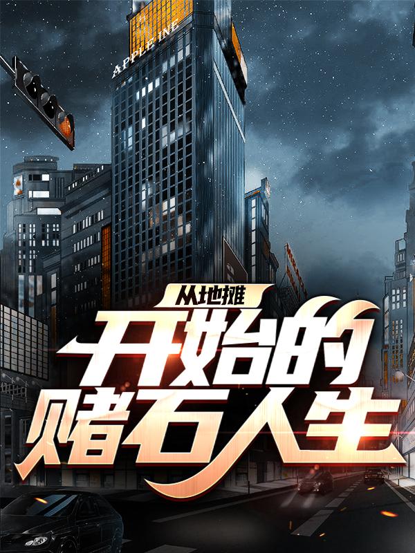 已完结小说《从地摊开始的赌石人生》全章节在线阅读-有文学