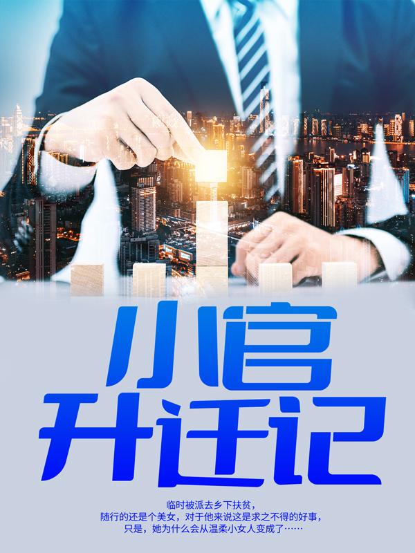 小官升迁记_金铉山小说