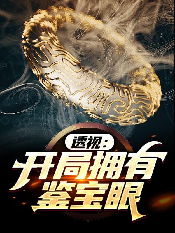 透视：开局拥有鉴宝眼林凡小亮_背着三座房子的蜗牛小说-优文网